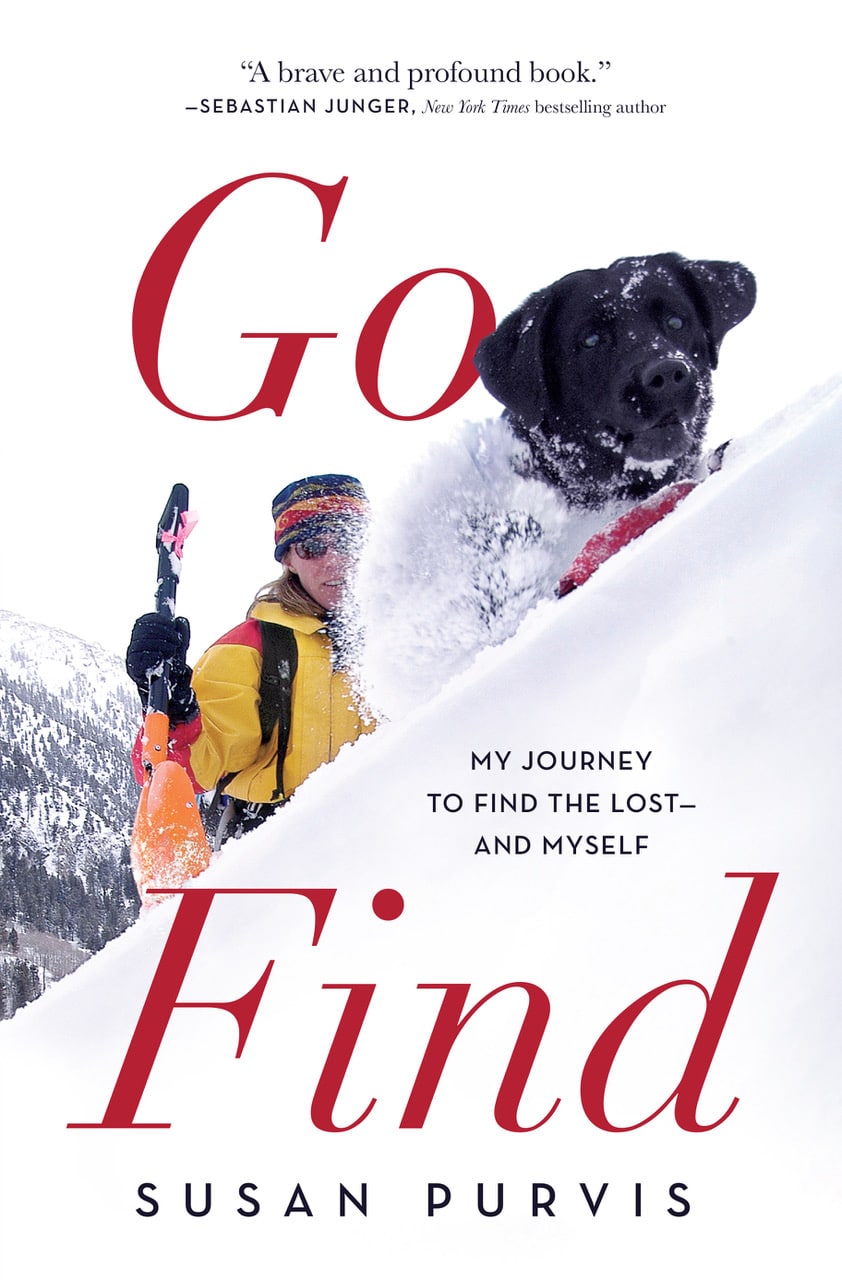 Go Find, my journey to find the lost and myself y susan purvis-bbook cover