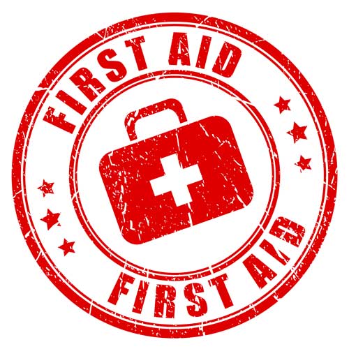 Wilderness-First-Aid-Course