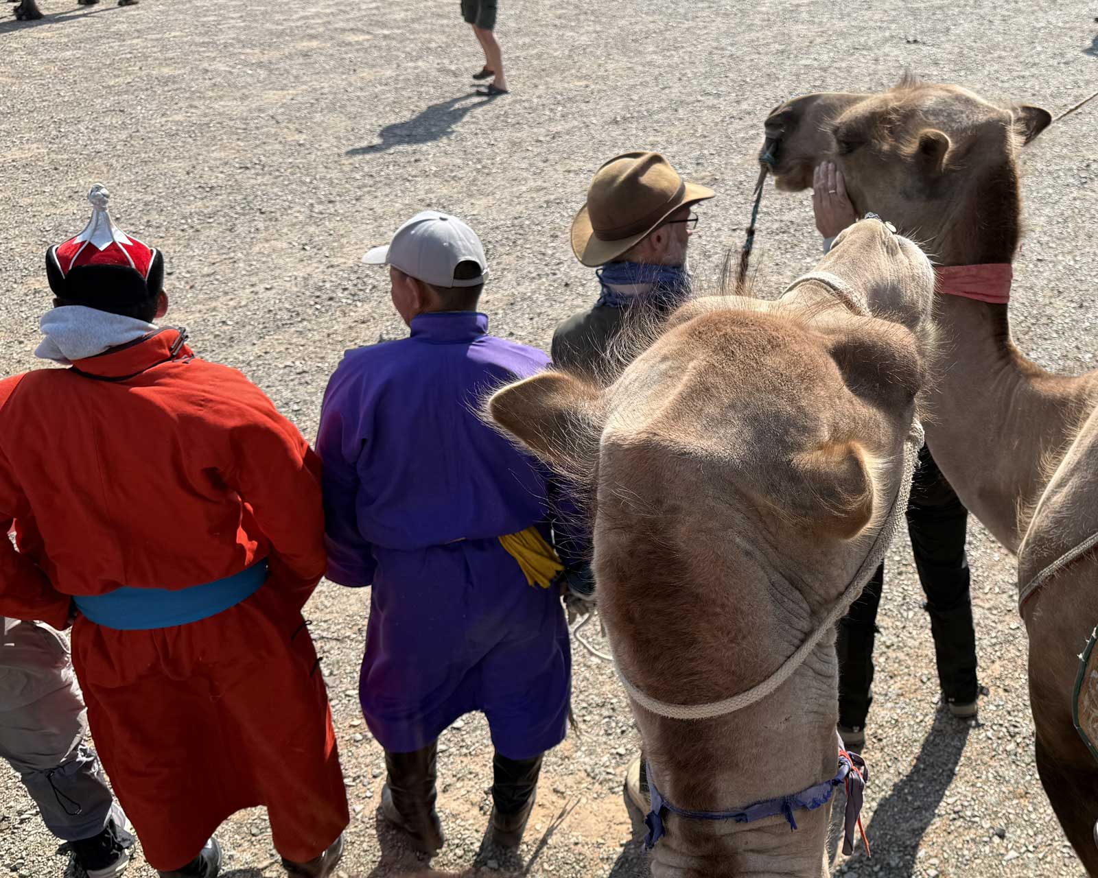 Susan-Purvis-Explorers-Club-Guides-with-Camels